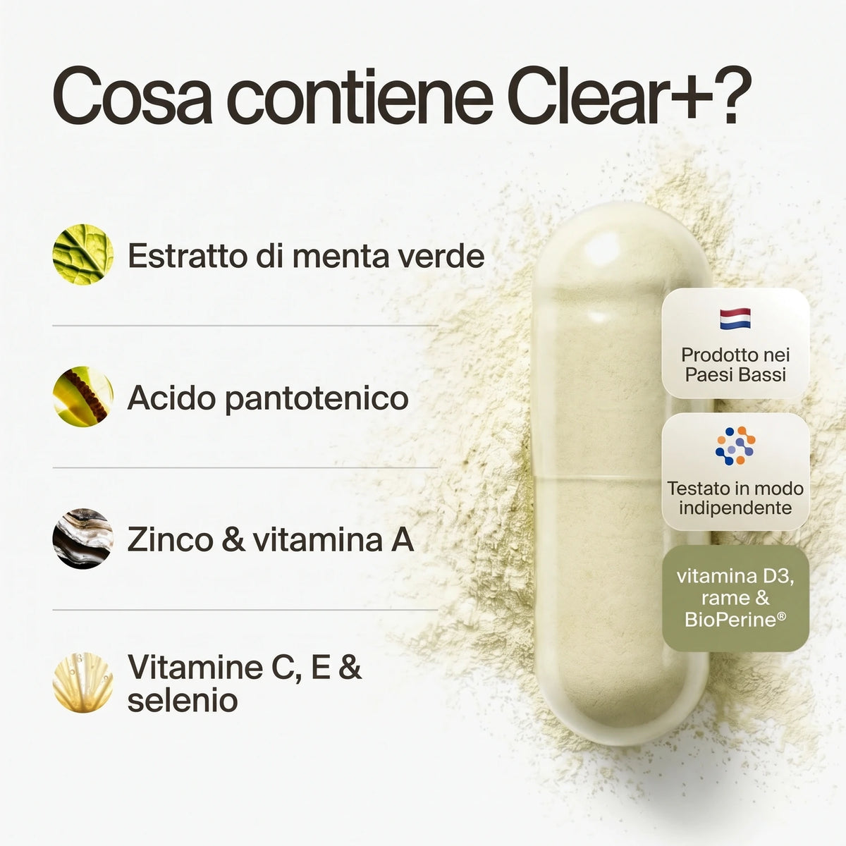 clearday gallery (it)